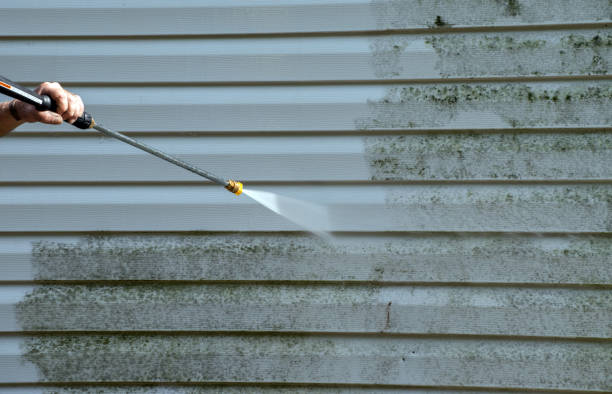 Certified Mold Removal in Upper Saddle River, NJ